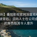 【爆料】番茄影视官网深度揭秘：秘闻风波背后，业内人士在公司会议室的角色极其令人意外