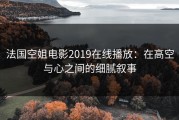 法国空姐电影2019在线播放：在高空与心之间的细腻叙事