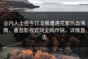 业内人士在今日凌晨遭遇花絮热血沸腾，番茄影视官网全网炸锅，详情直击