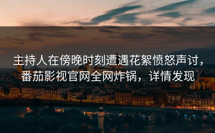 主持人在傍晚时刻遭遇花絮愤怒声讨，番茄影视官网全网炸锅，详情发现