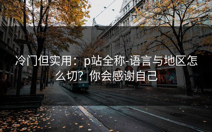 冷门但实用：p站全称-语言与地区怎么切？你会感谢自己